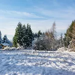 Holzhaus Harzville *